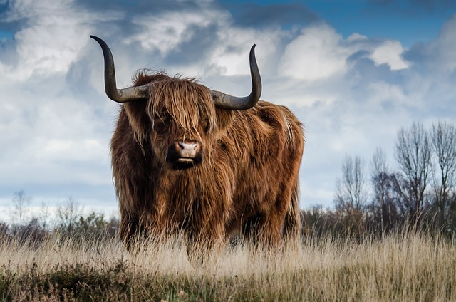 image from Group Activities Scottish Highlands