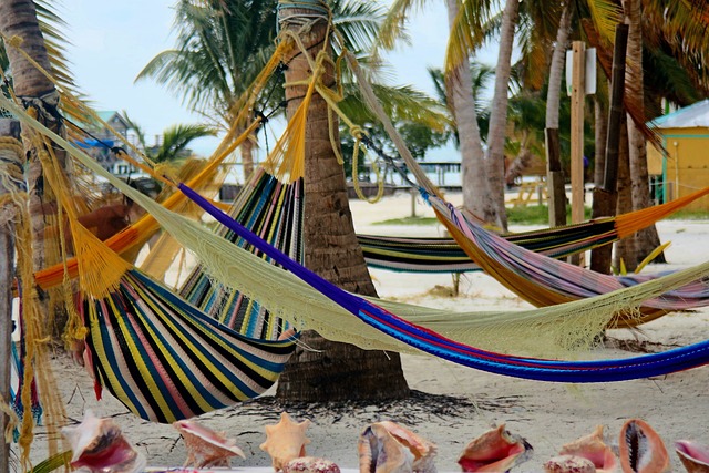 image from Share a Beer at the Lazy Lizard at the Split, a Laid-Back Beach Bar in Caye Caulker, Belize