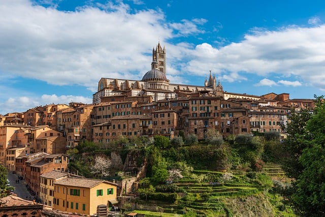 image from Siena Cathedral