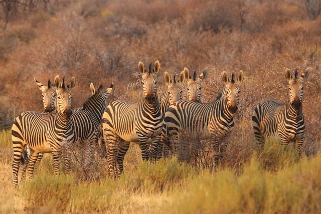 image from South Africa-6-day-itinerary