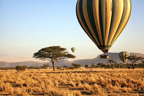 image from Tanzania 5 Day Itinerary