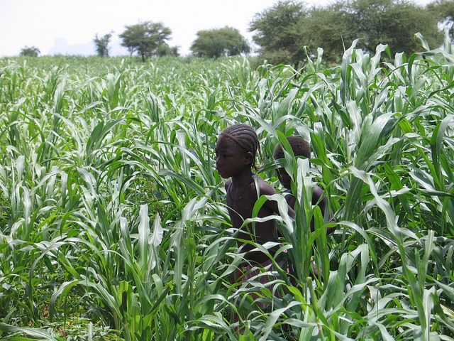 image from Timbuktu Mali