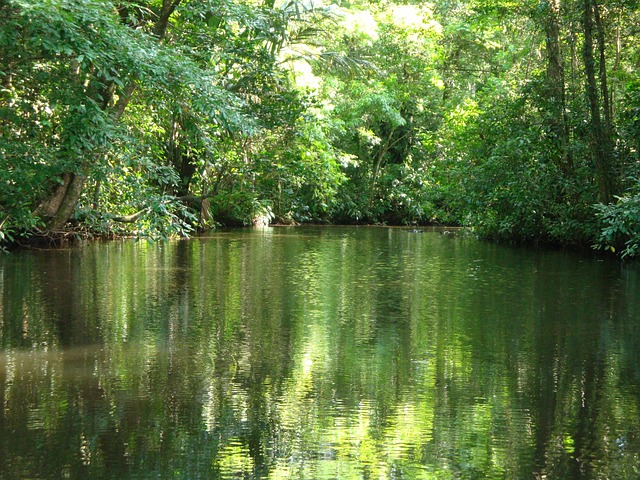 image from Couple Activities Tortuguero