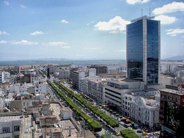 image from Walking Tours Tunis