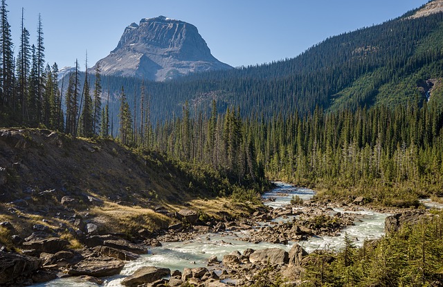 image from Vancouver, British Columbia-5-day-itinerary