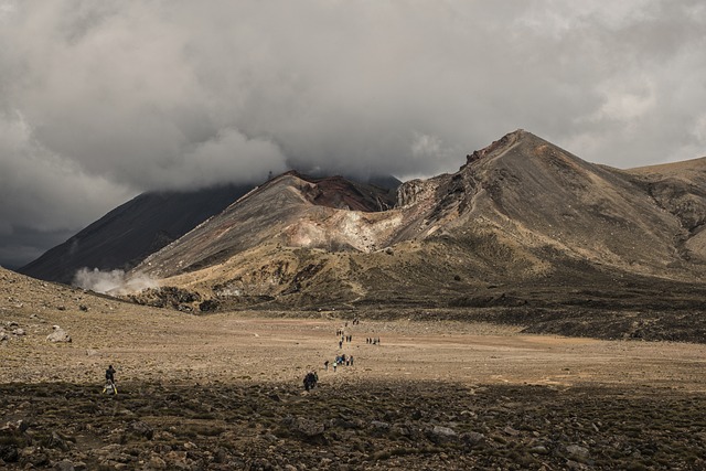 image from Volcanoes National Park, Rwanda