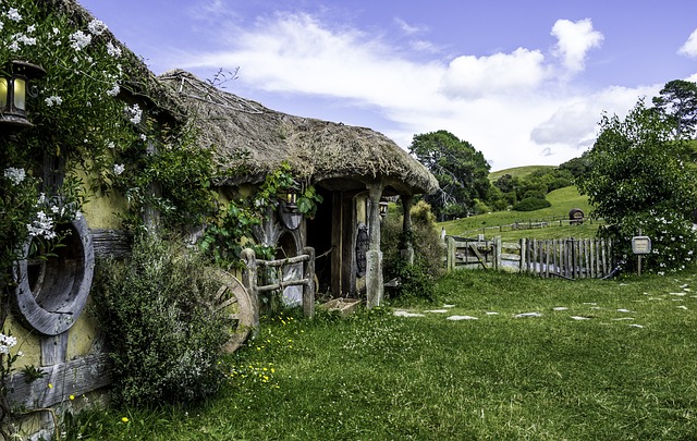 image from Waitomo Caves, New Zealand