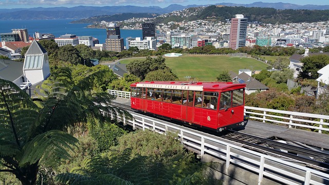 image from Wellington 5 Day Itinerary