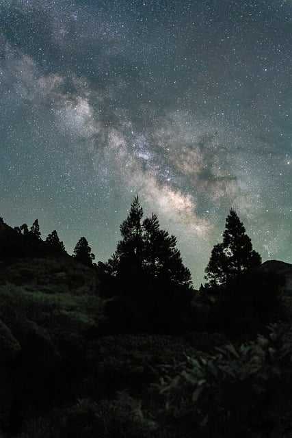 image from Yakushima