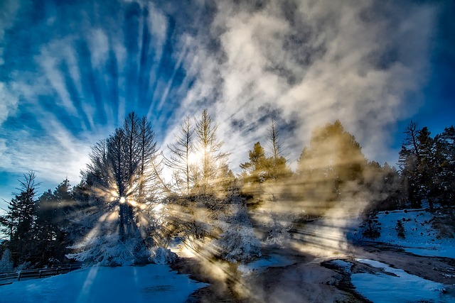 image from Yellowstone National Park (WY)