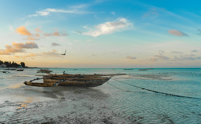 image from Zanzibar, Tanzania-6-day-itinerary